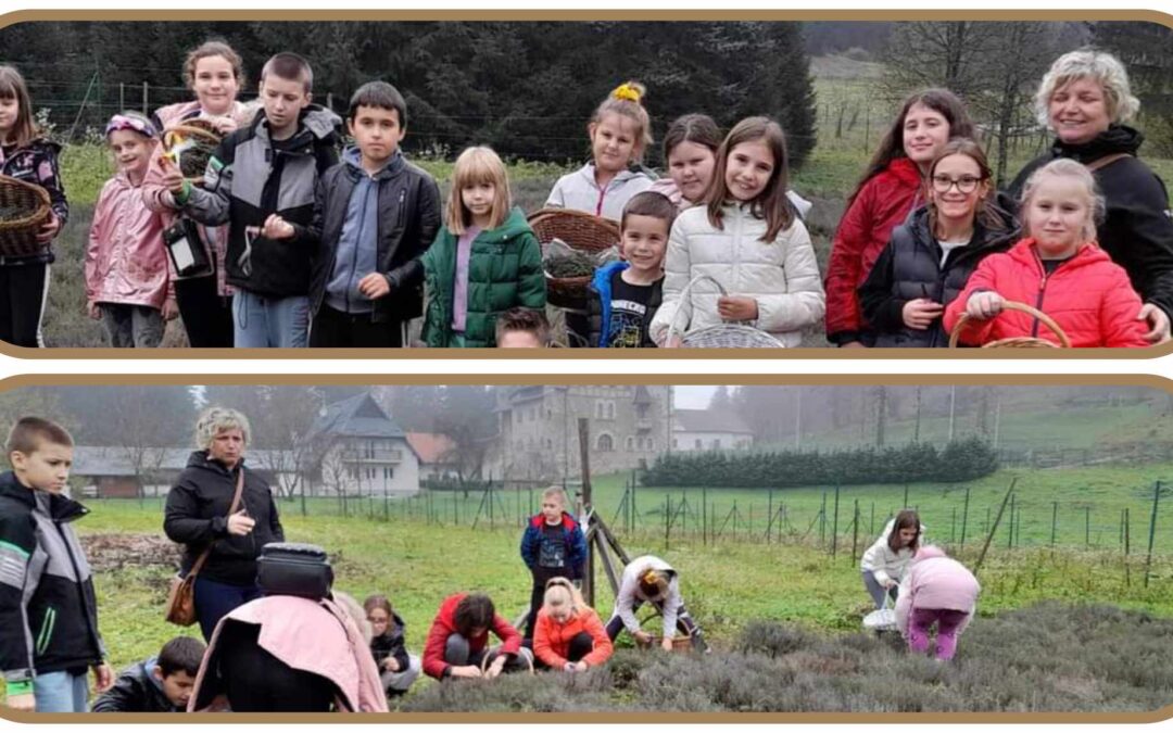 Terenska nastava Stara Sušica