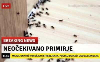 “Uz čitanje riječi rastu 5”