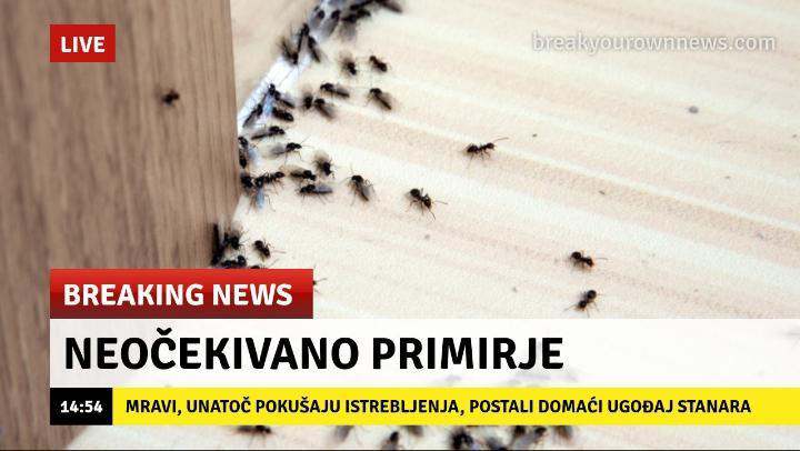 “Uz čitanje riječi rastu 5”