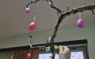 eTwinning Projekt- Wie ein Fisch im Wasser