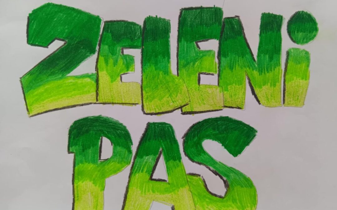 Čitalački grafiti uz književno djelo Zeleni pas
