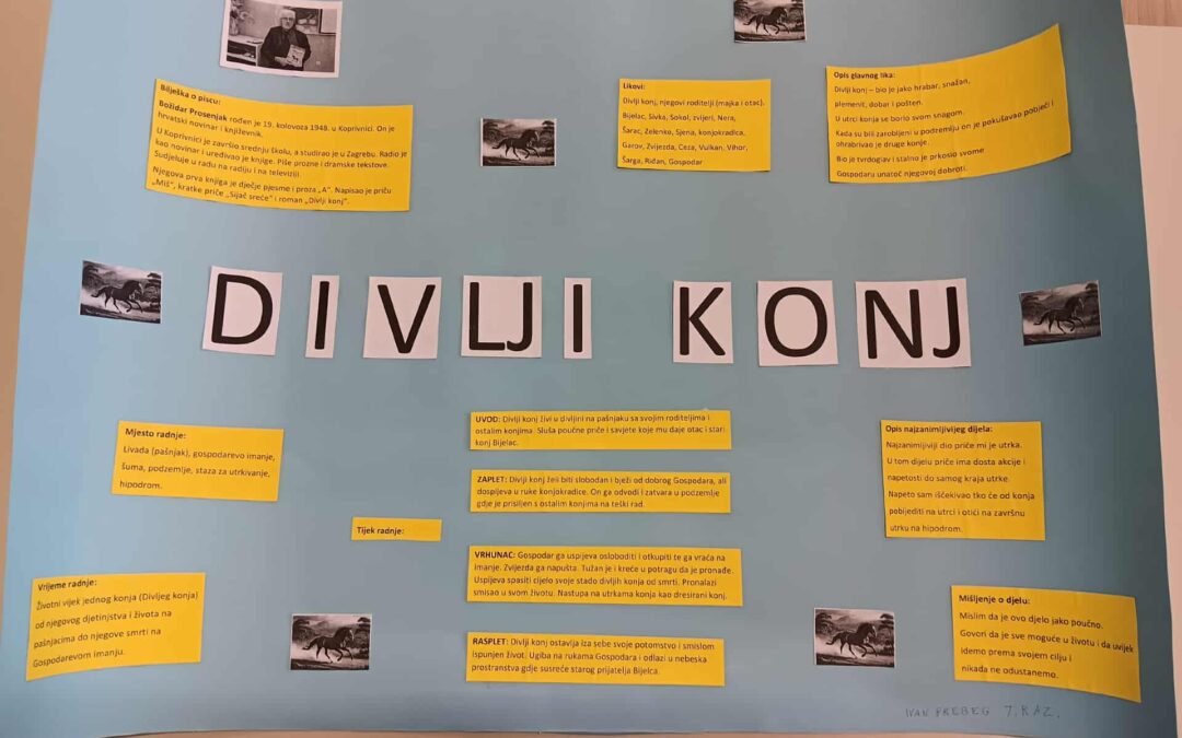 Umna mapa – Divlji konj