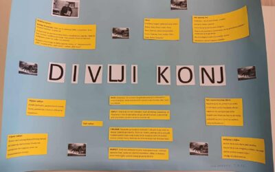 Umna mapa – Divlji konj