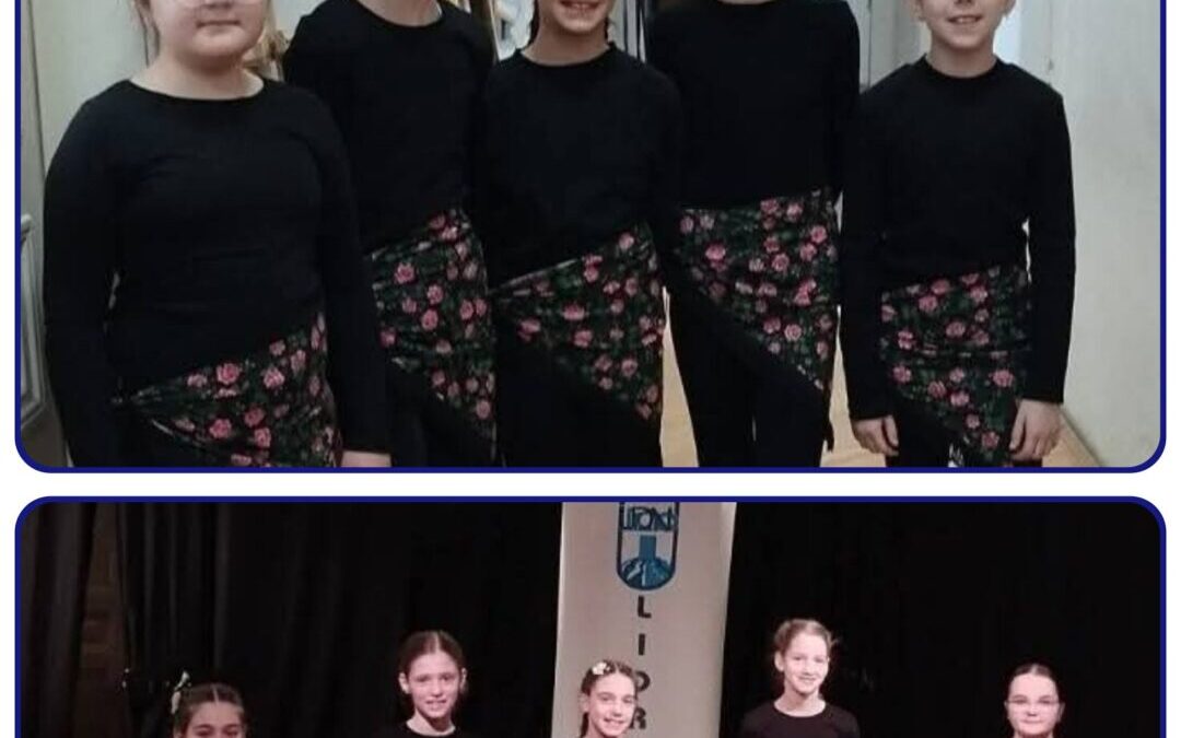 Županijska razina LiDraNo