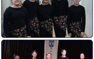 Županijska razina LiDraNo