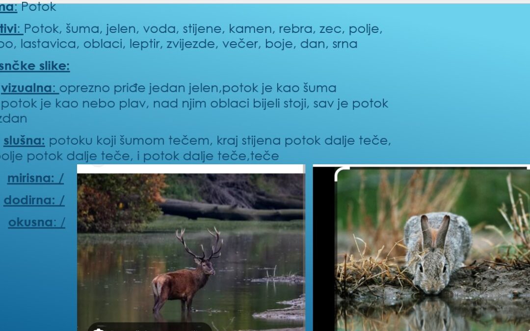 Digitalna interpretacija pjesama