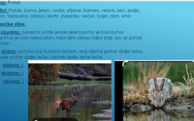 Digitalna interpretacija pjesama